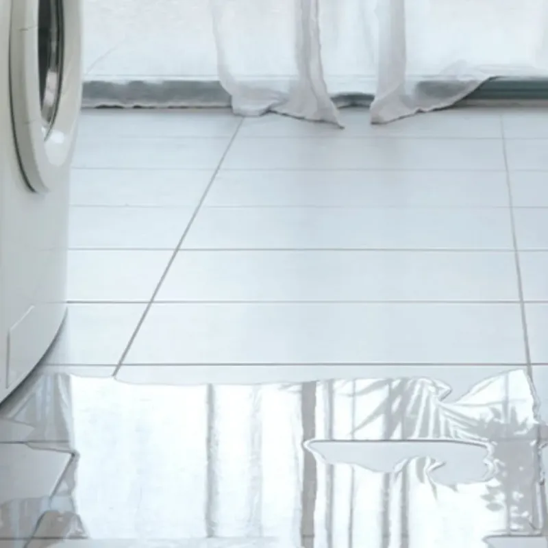 Appliance Leak Cleanup in Tamarac, FL